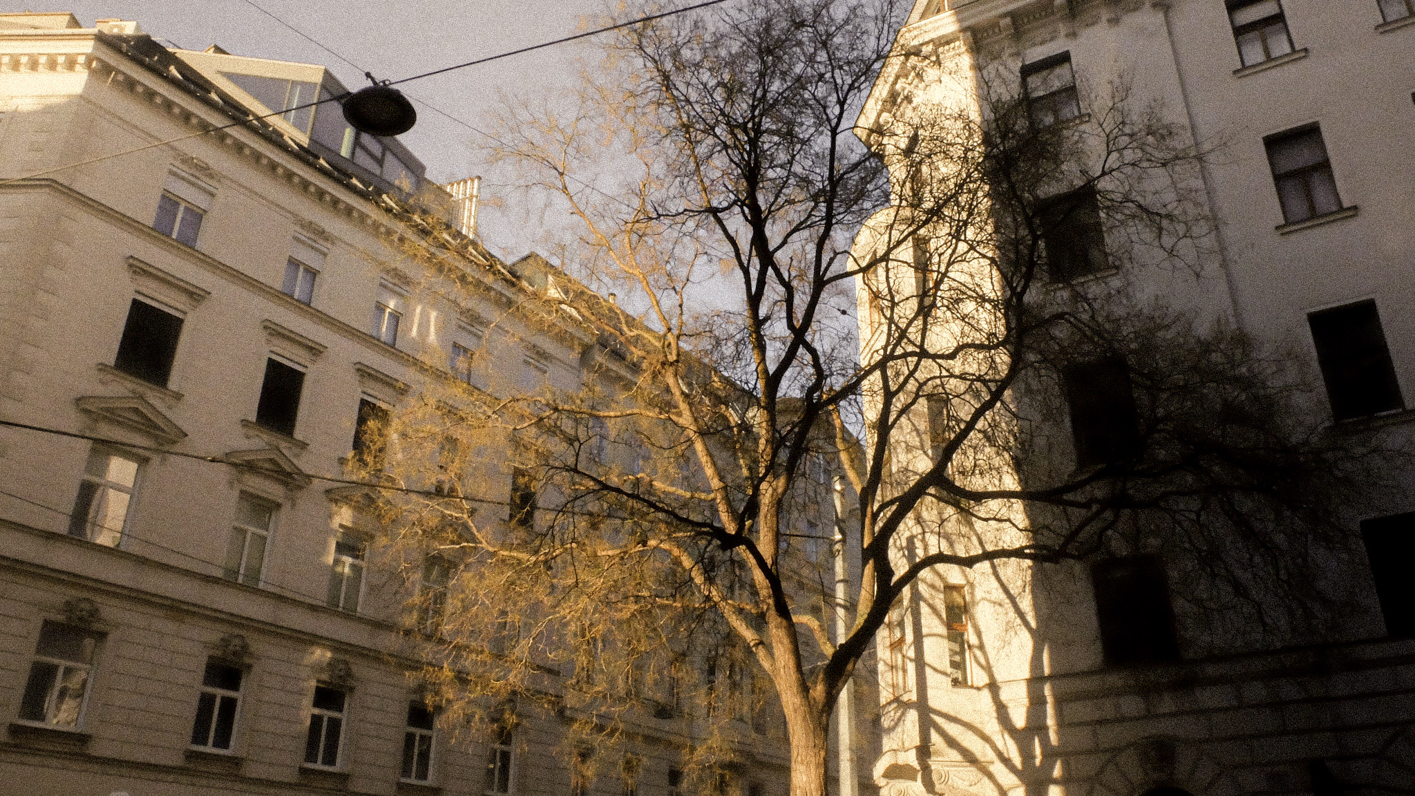 portrait photography